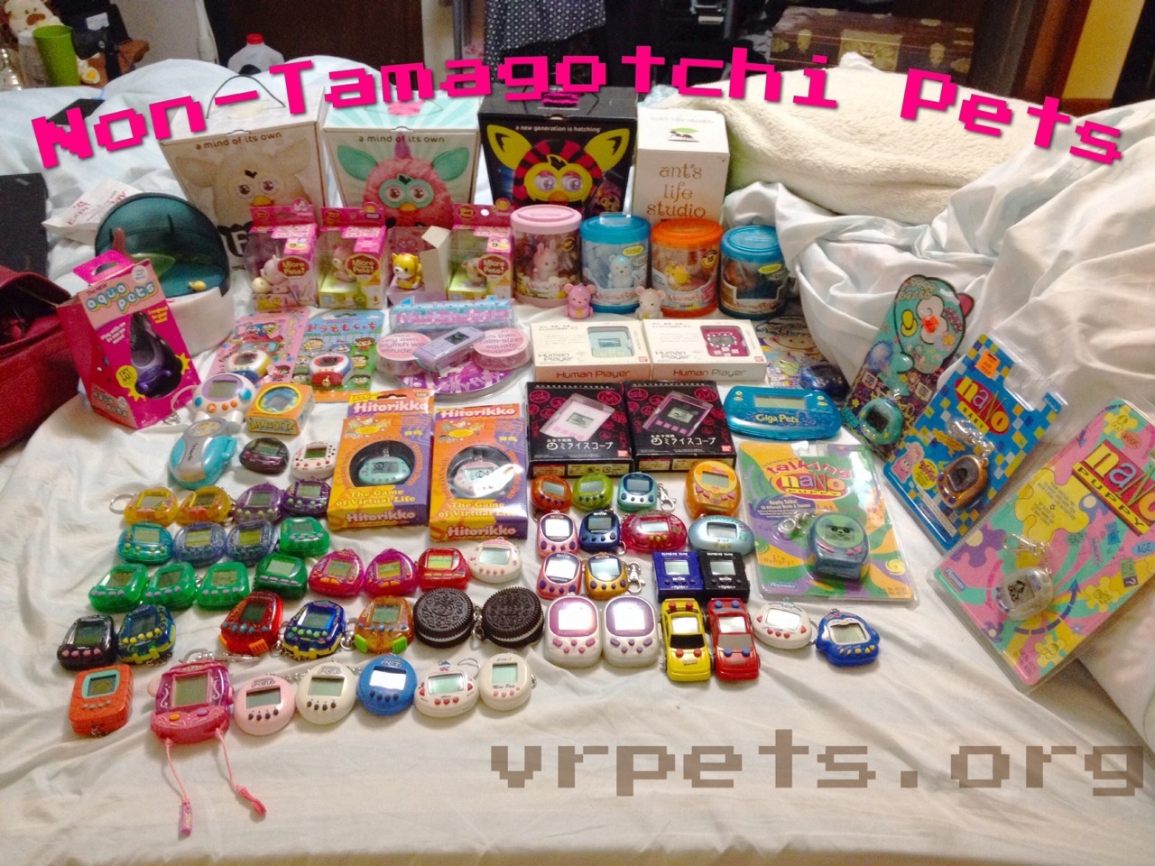 Non-Tama Pets 2014
